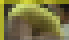 3813／「探り撮り・キャンちゃんがくれた秘境大冒険（24）」