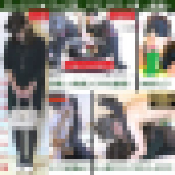 【最終】【直穿きグレータイツ×ぺたんこ靴】【イラマ】【ディルド】【ベロキス素股射】タイツ美女の足指を舐めつくす！ともこ33才後編