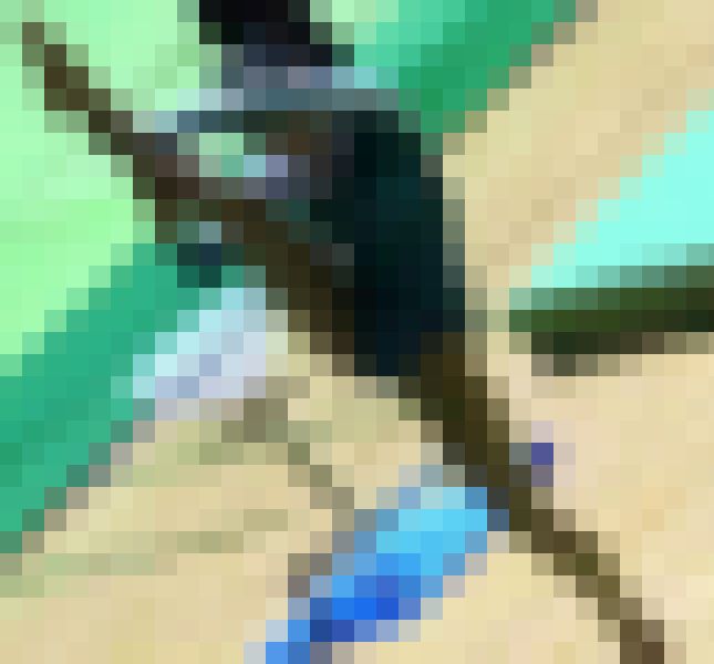 体操JK　体操競技選手権大会 女子平均台【動画】スポーツ編 4作品セット販売 3606～3608と3602