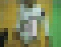 2301／「殴り込み撮り・レオタード無法地帯（75）」