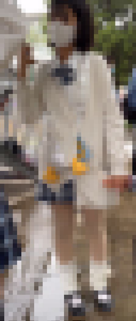 たいわんぱんちら281