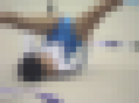 【期間限定公開作品】SY-004 新レオタード地方予選vol.4～白レオタードの妖精