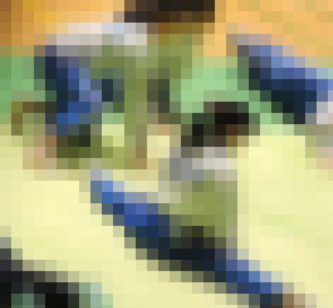 体操JK　体操競技選手権大会【動画】スポーツ編 5作品セット販売 3601 3603 3604 3607 3608