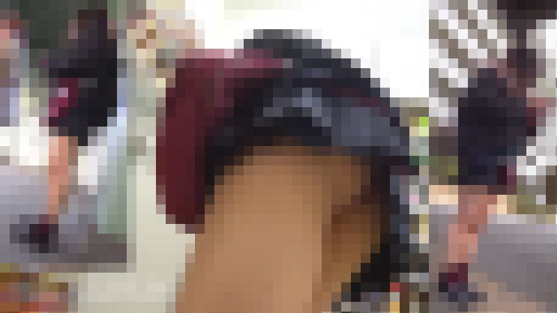 NICHE VIEW vol.71