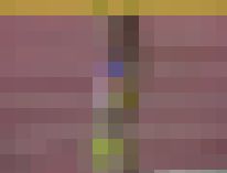 1688／「憑かれ撮り・女子陸上が見えてきた（１）～池田＋小島＋花岡選手」