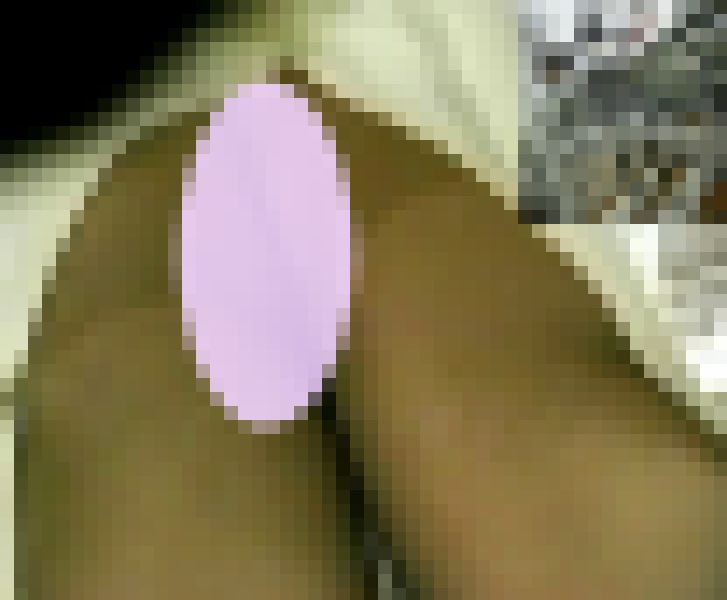 【お宝放出！待望の動画第31弾】ハンディカムアーカイブ！羨望の某グローバルメーカー美尻モロだしコンパニオンさん☆（MF-V023