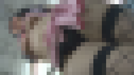 【再販】TR07-01 突撃レポート!『東京オートサロン2005編』パート1～超ミニシースルースカートお尻丸出しキャンギャル