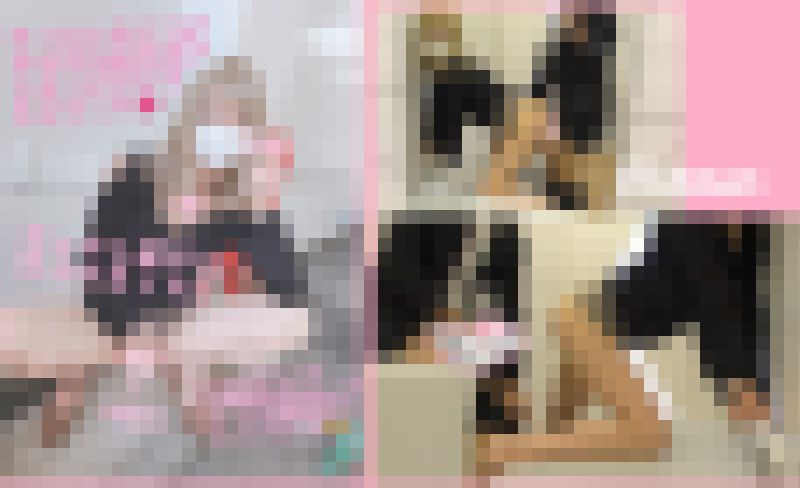 ますます人気の超有名配信者ニコたんが私有地でくぱマンさらすから連れ込んで中出し決行！