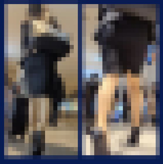 （再販）【030】スーツケースと格闘するタイトミニのリクルートOLさん！