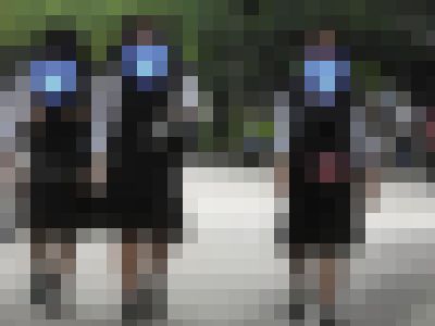 （再販）制服姿の女のコを撮影しました！！８４