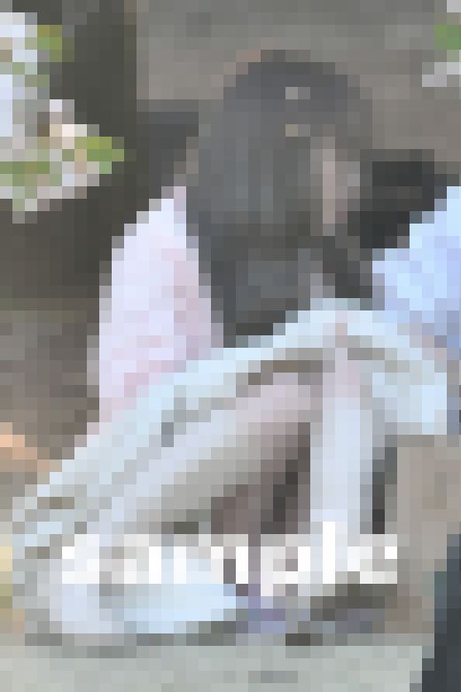 2023?お花見ガールズ♪3