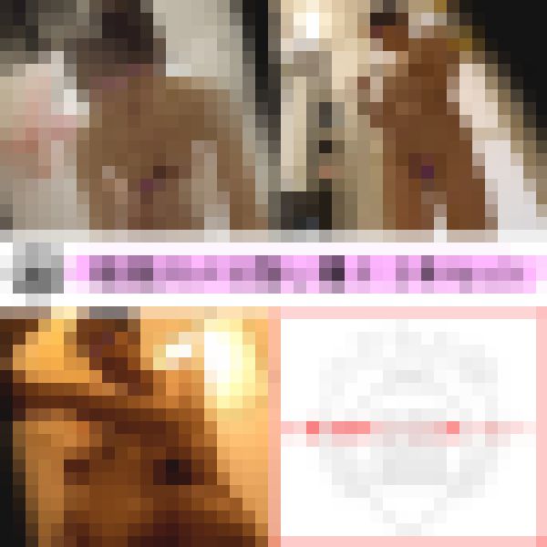 （再販）3本セット 乳女子大生盗撮 色白おわん型おっぱい 小さめ乳輪にビンビン乳首 ピンク色おまんこ 全てがシコい美女の裸、他