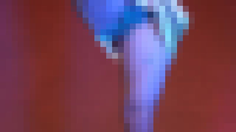 「再販」なにわガールズ851【4K】さあさあ！　お毛を拝借！　ハプニングアラカルト！　スパッツ穿き忘れもや！