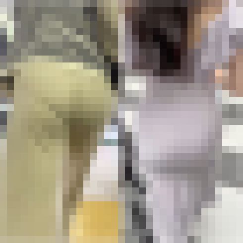 【再販商品です】《４K・高画質》 No.533「丸分かりのPライン！Pライン！Tライン！3選」