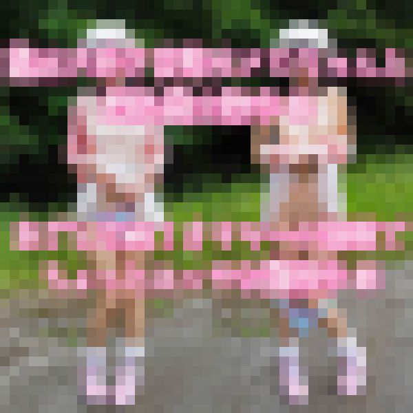 露出大好き変態娘メロちゃんと 野外露出散歩 04 あざとさMAX！オタサーの姫服で ちょっとエッチな露散歩 04