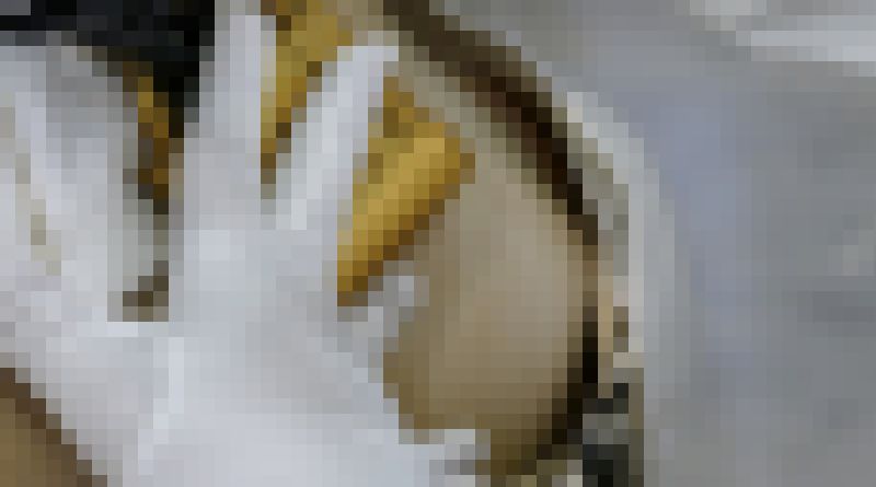 【再販】中華の柔らかそうな谷間と見えそうな先端が魅力的なレイヤーさんの様子