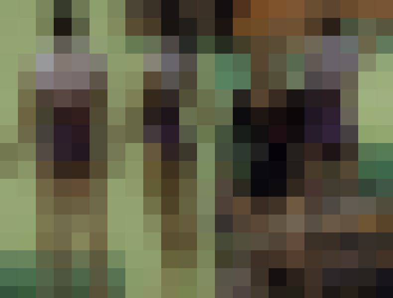 体操JK　体操競技選手権大会【スローモーション動画】スポーツ編 3作品セット販売 3512 3503 3504