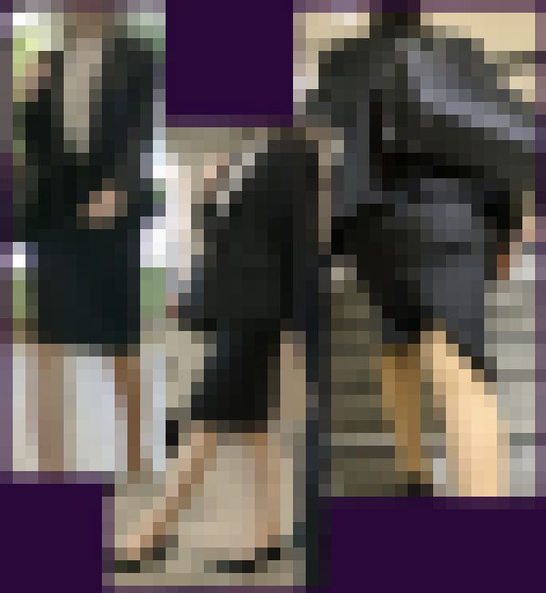 【187】スラリとした高身長OLさんと、ムッチリOLさん詰め合わせ！