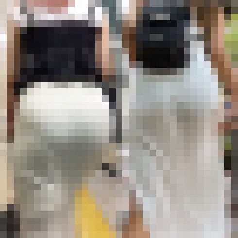 【再販】【再販商品です】   No.562「重厚感たっぷり肉感巨尻VS鍛え上げたプリプリ美尻」