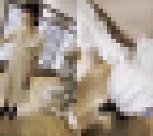 夏休み中油断し過ぎて乳首を何度も撮られてしまった学セーちゃん?他のハンターにも狙われて…
