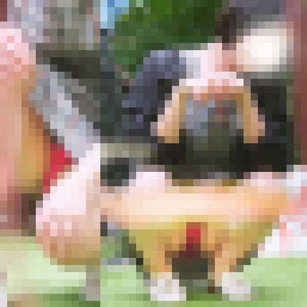 「だからＤＴなんだよ?」外でも大胆！　清純お姉さまの幸せはスカートの中に・・・