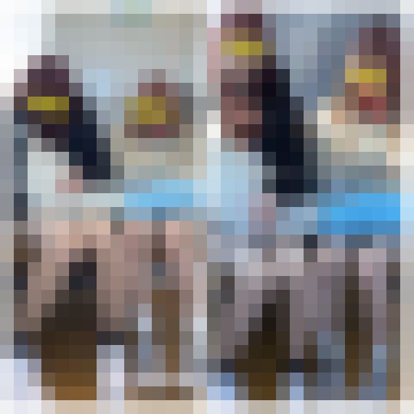 長編シリーズ747 仲良しギャルの美脚で男性陣を翻弄！2名の美人ギャル系お姉さんの対面エロ過ぎるパンスト美脚パート2