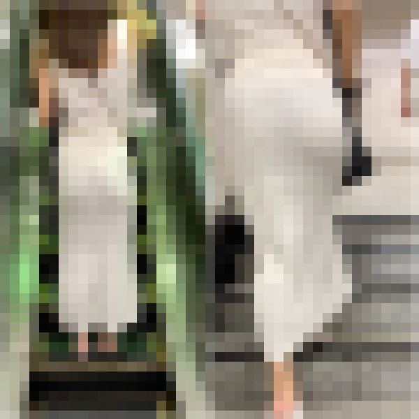 【再販】No.757「見事なパイスラッシュ！スタイル抜群なセレブ美女」