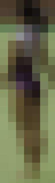 体操JK　体操競技選手権大会【スローモーション動画】スポーツ編 3作品セット販売 3512 3503 3504