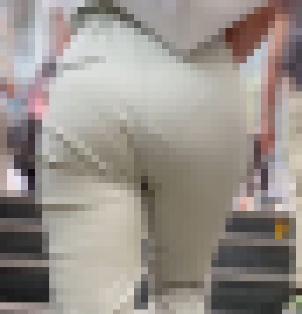 【再販】《４K・高画質》 No.788「ちょいポチャBODYがメチャクチャエロいGAL」