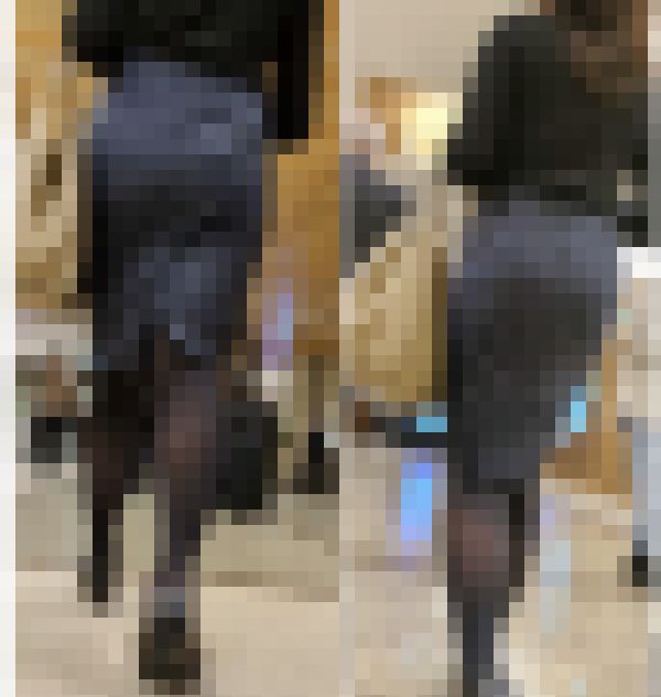 【288】色合いと質感最高のタイトスカートと黒パンストのコンビネーション！