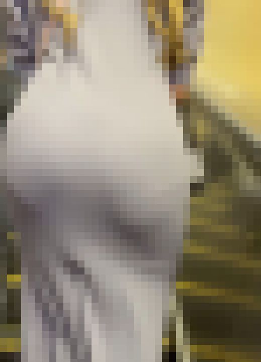 【再販】《４K・高画質》 No.822「惚れる身体！ムチムチボディーに張り付くワンピ3選」