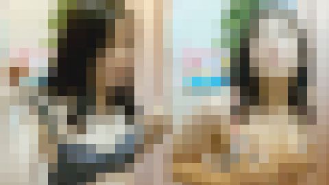 控えめなタヌキお姉さんの　大胆なスケスケパンツ　　僕のお店の試着室512