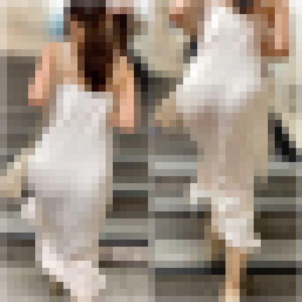 【再販】No.850「PartyドレスにはTはセット！セレブ美女のモッコリ美尻」