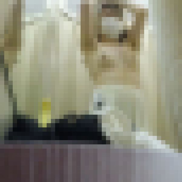 【アヒルの1000円均一】試着室 盗撮風 167着目