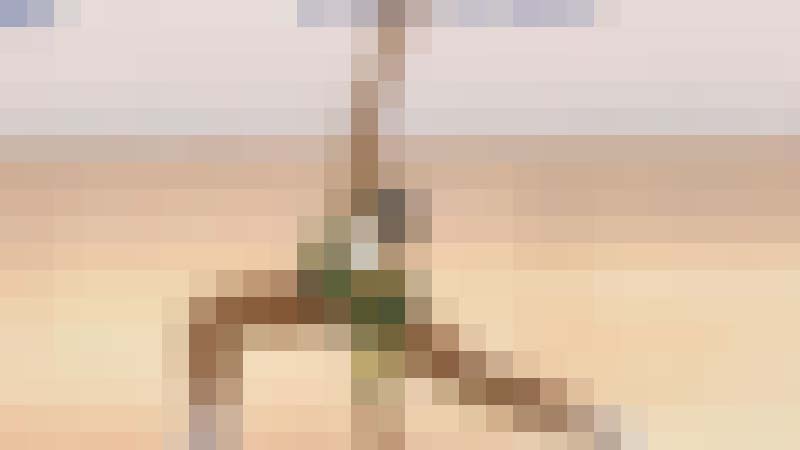 「ぴちぴちJ〇エアロビクス1」のその後(巨乳化)