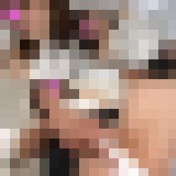 【癒し映像３本セットその2】