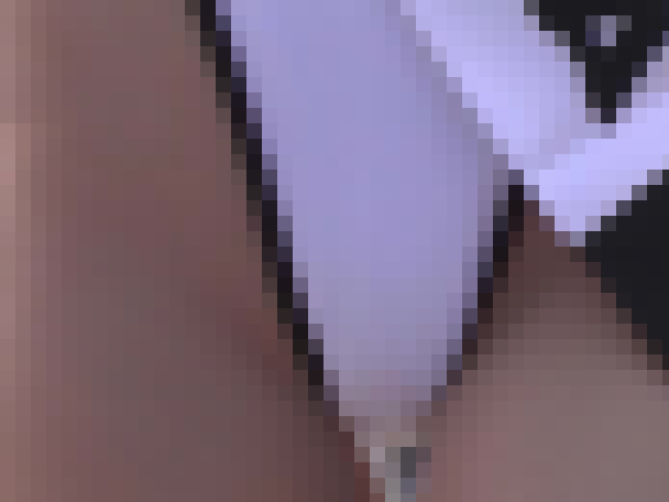 【再販】MM118-1 魅惑のレースクイーン118〜Disc.1 超貴重！生パンローアングルを撮影できたのは・・・！