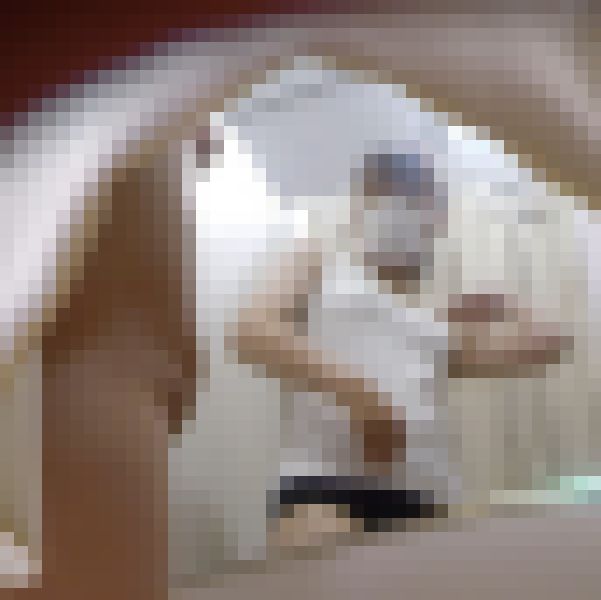 【アヒルの1000円均一】試着室 盗撮風 168着目