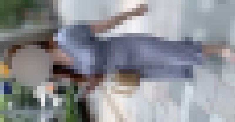 【再販】《顔モザ解禁！！》No.919「オッパイもお尻も膨らみが凄いモデル達」