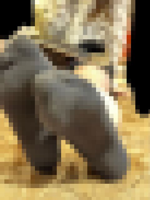 19歳学生の履き潰したブーツでクタクタ靴下足裏