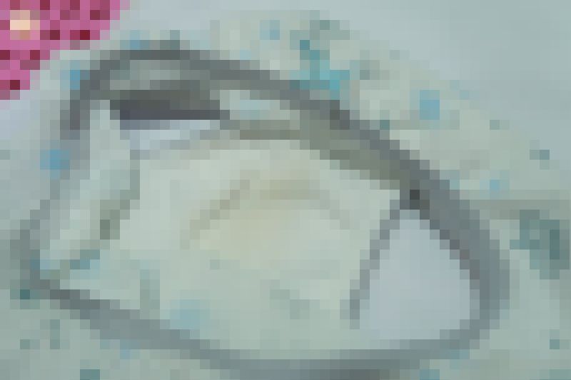 水泳教室お宝発掘　選手コースのちぅの子パンツとブラ！