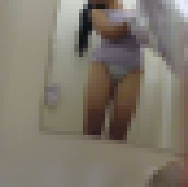 【アヒルの1000円均一】試着室 盗撮風 172着目