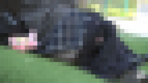 グリーンパークへようこそ212　むき出しの生足でねそべる娘