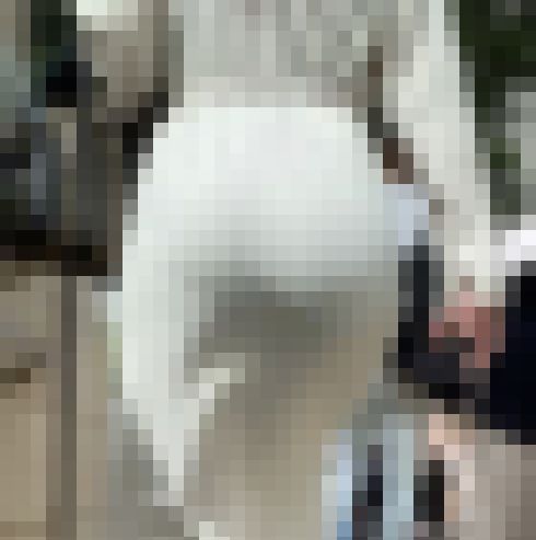 【再販】No.1036「とびっきりの透け感！絶品なフォルムの美尻モデル」