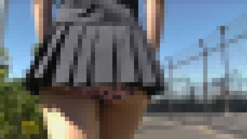 超ミニスカパンチラお散歩　晴美ちゃん　３本セット 普段は地味な私でも大胆になれる