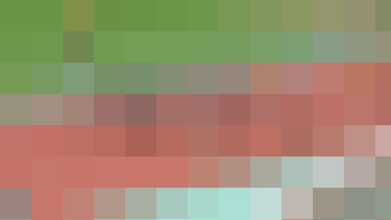 【動画（FHD1080pシリーズ）】No.A015 某地方陸上競技大会 200m　圧巻18名のバックショット