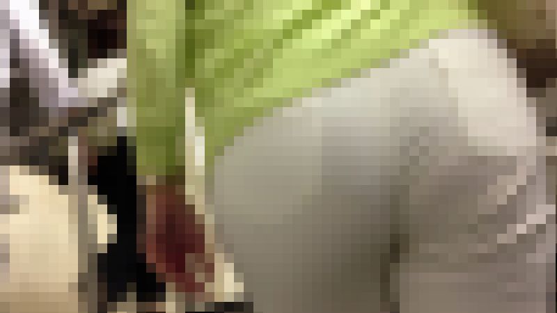 【再販】53透け感が激しいお姉さんたち